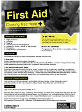 Choking - First Aid Poster